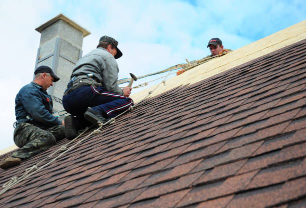 Roof Gutter Cleaning in Valley City, ND